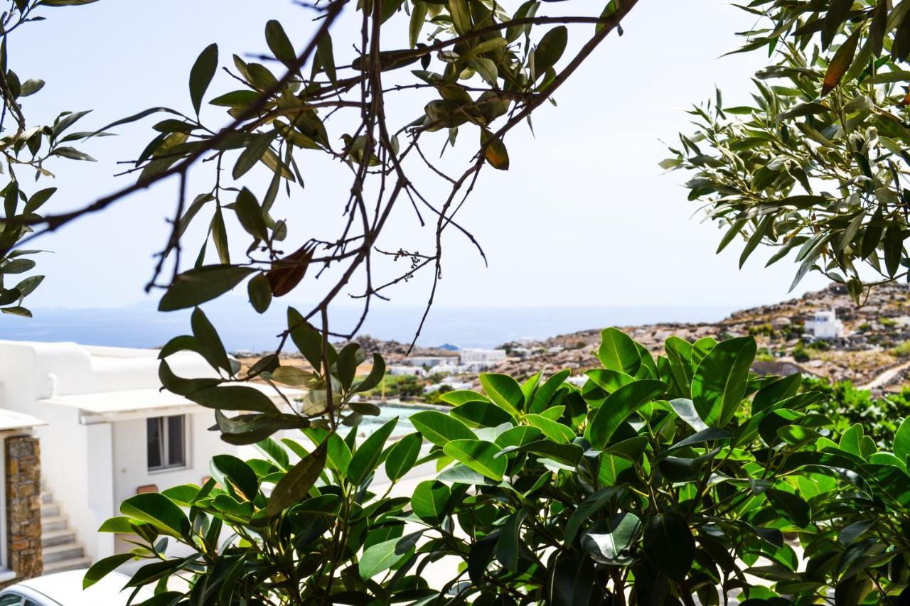 Elma'S Summerhouses Mykonos Town Zewnętrze zdjęcie